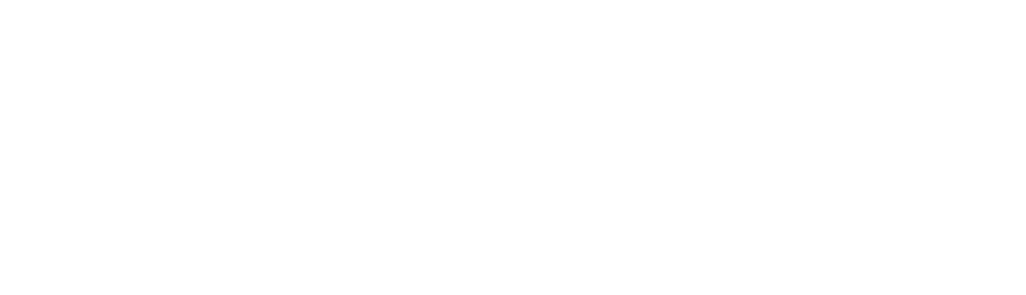 PoliNEXUS